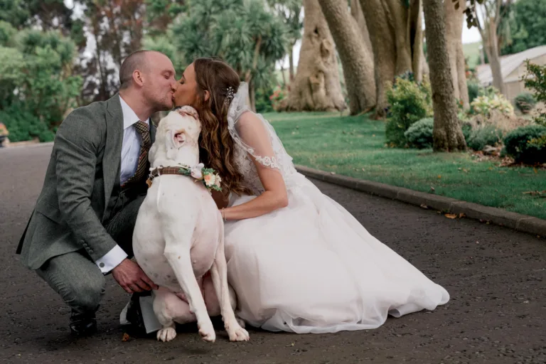 dogs at weddings at dog friendly altahammond barn in northern ireland